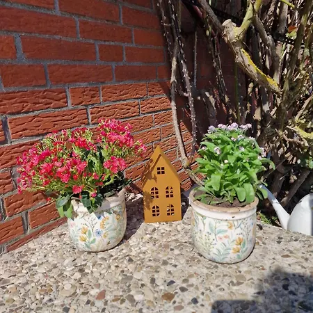 Apartment Haus-albertsdorf-am-dorfteich-|-wohnung-1-sued