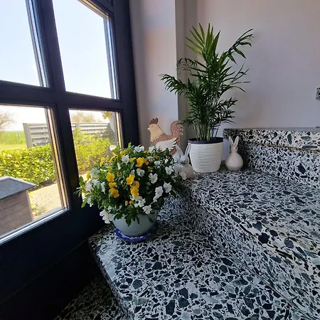 Haus-albertsdorf-am-dorfteich-|-wohnung-1-sued *