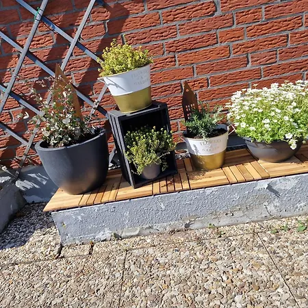 Haus-albertsdorf-am-dorfteich-|-wohnung-1-sued Apartment