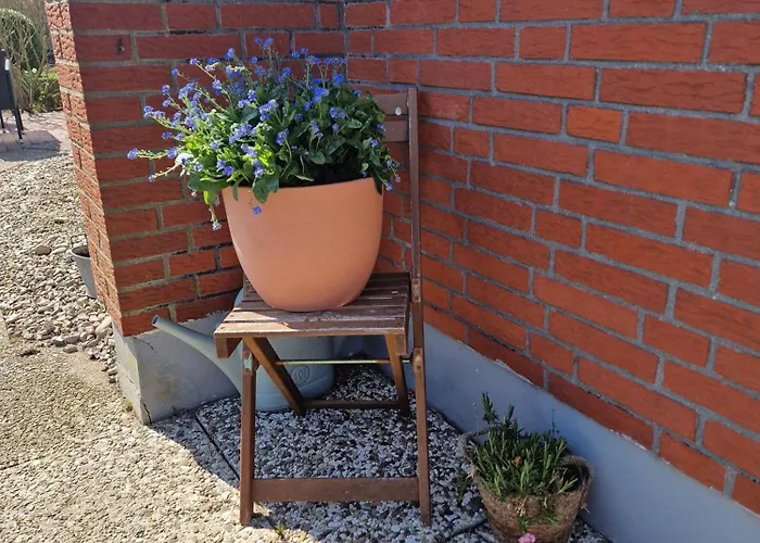 Haus-fehmarn-am-dorfteich-|-wohnung-1-sued * Fehmarn