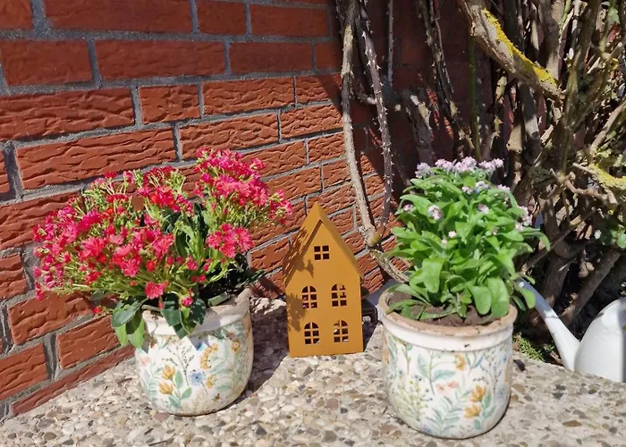 Lägenhet Haus-fehmarn-am-dorfteich-|-wohnung-1-sued