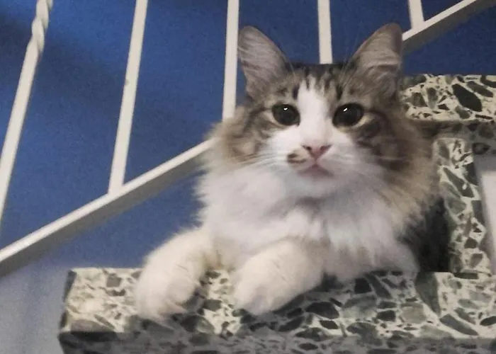 Haus-fehmarn-am-dorfteich-|-wohnung-1-sued