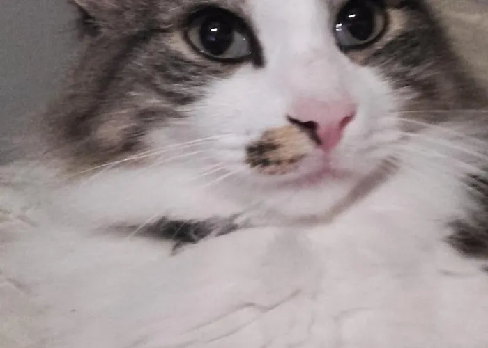 Haus-fehmarn-am-dorfteich-|-wohnung-1-sued Lägenhet *