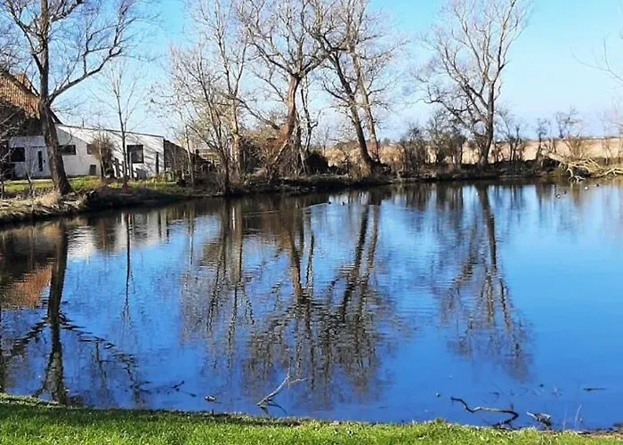 Lägenhet Haus-fehmarn-am-dorfteich-|-wohnung-1-sued *