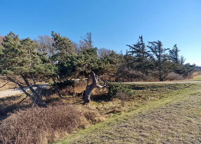 Lägenhet Haus-fehmarn-am-dorfteich-|-wohnung-1-sued