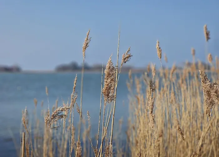 Haus-fehmarn-am-dorfteich-|-wohnung-1-sued Lägenhet Fehmarn