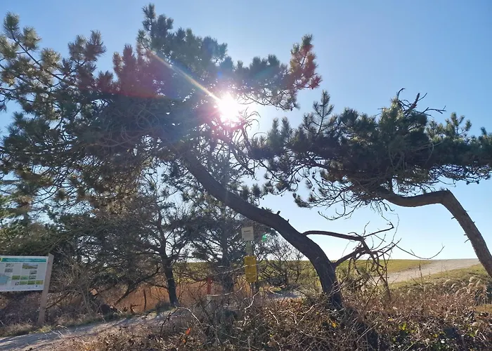 Haus-fehmarn-am-dorfteich-|-wohnung-1-sued Lägenhet