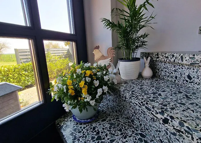 Haus-fehmarn-am-dorfteich-|-wohnung-1-sued *