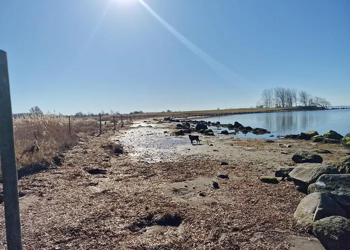 Haus-fehmarn-am-dorfteich-|-wohnung-1-sued Fehmarn
