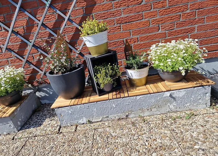 Haus-fehmarn-am-dorfteich-|-wohnung-1-sued Lägenhet