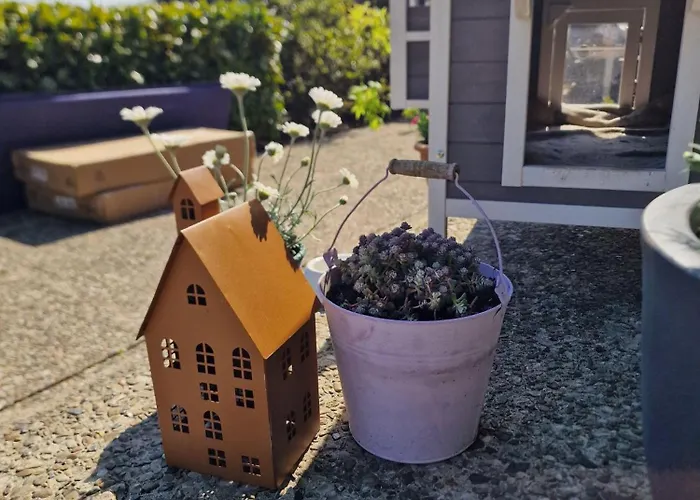 Haus-fehmarn-am-dorfteich-|-wohnung-1-sued Lägenhet *